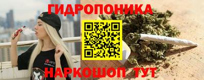прущие крисы Новодвинск