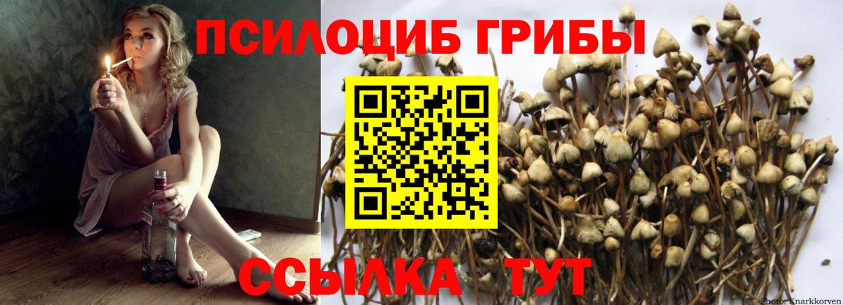Галлюциногенные грибы прущие грибы  даркнет сайт  Псилоцибиновые грибы мухоморы  Холмск  Вход с VPN 