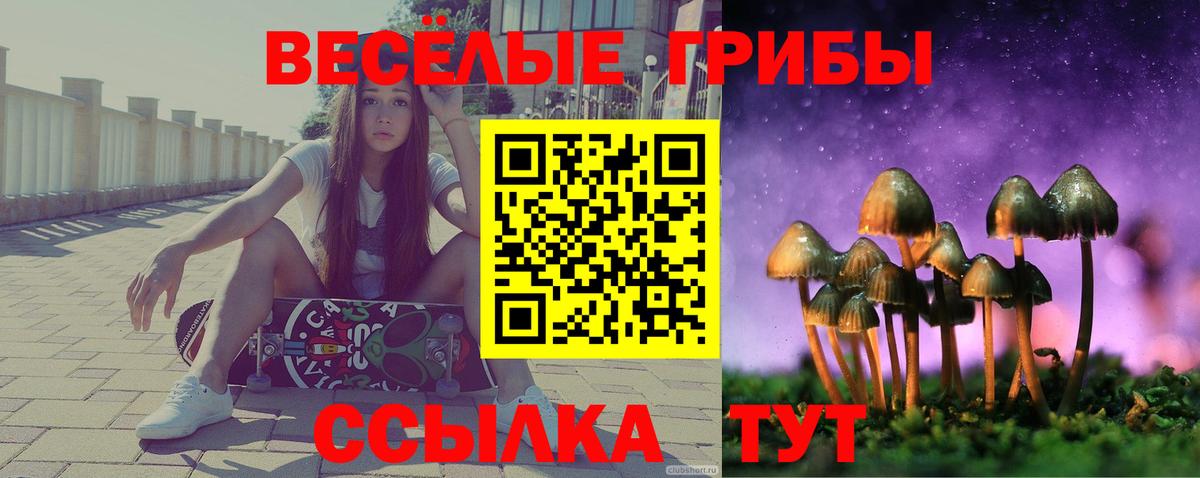 Галлюциногенные грибы Cubensis Холмск